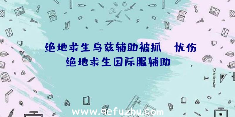 「绝地求生乌兹辅助被抓」|忧伤绝地求生国际服辅助